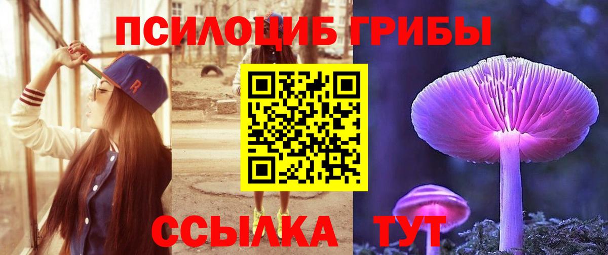 Галлюциногенные грибы ЛСД Новотроицк