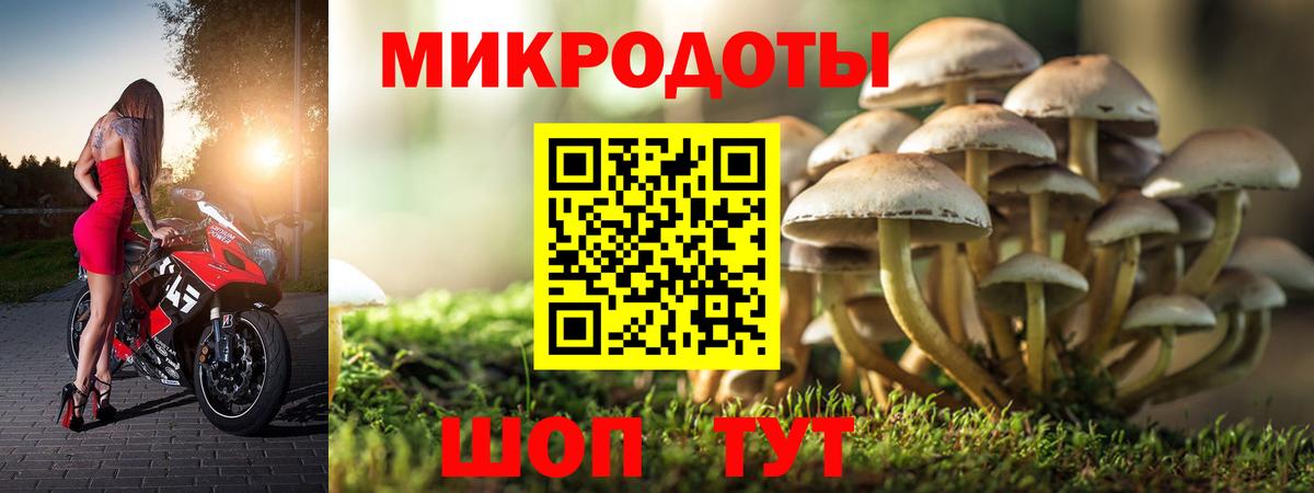 Новотроицк  магазин продажи   Вход с VPN  Галлюциногенные грибы Psilocybine cubensis 